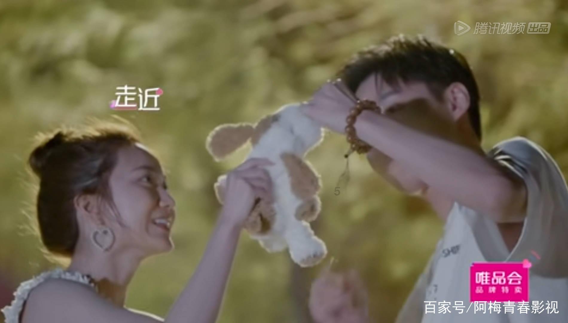 拯救受伤的猫